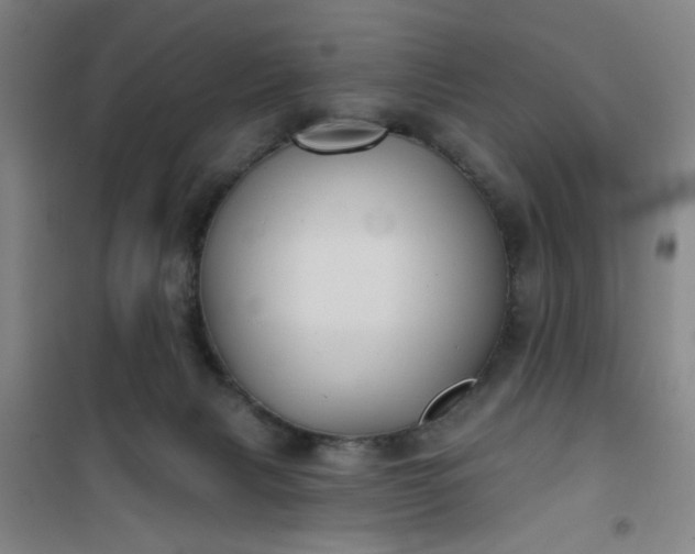 X0000101140079200807110952