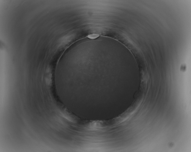 X0000101140080200807110952