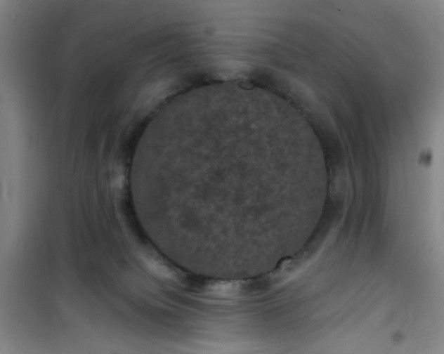 X0000101140084200807110952