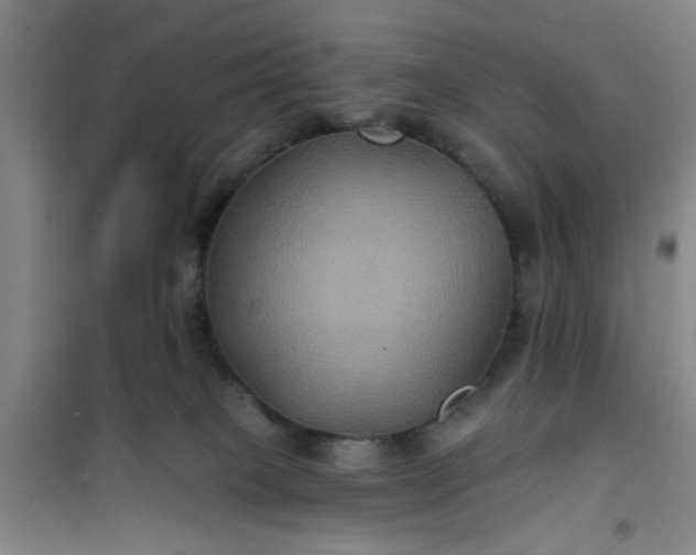 X0000101140085200807110952