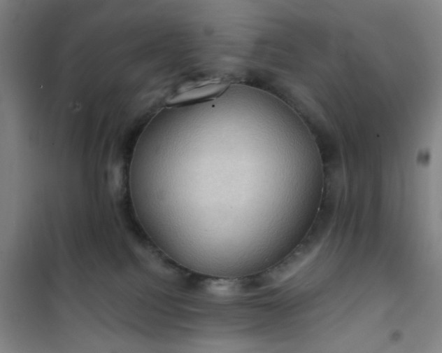 X0000101140088200807110953