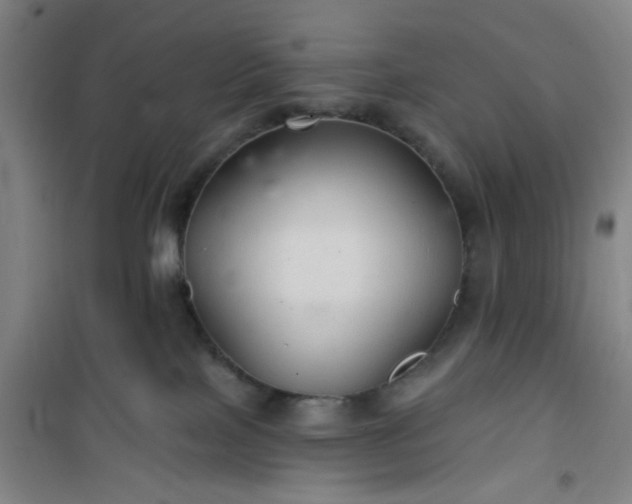 X0000101140089200807110953