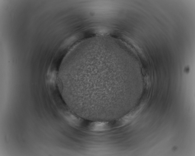 X0000101140093200807110953