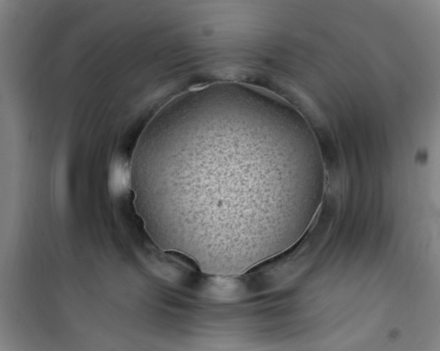 X0000101140095200807110953