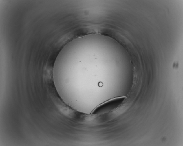 X0000101140096200807110953