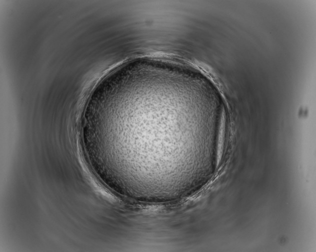 X0000101140097200807110952