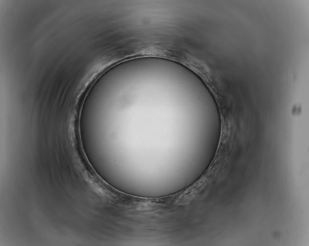 X0000101140098200807110952