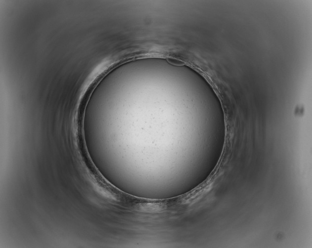 X0000101140102200807110952