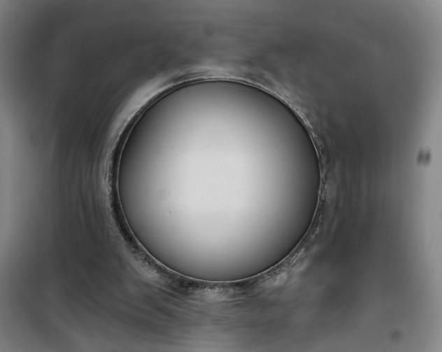 X0000101140103200807110952