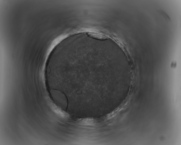 X0000101140104200807110952