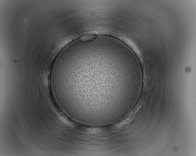 X0000101140105200807110952