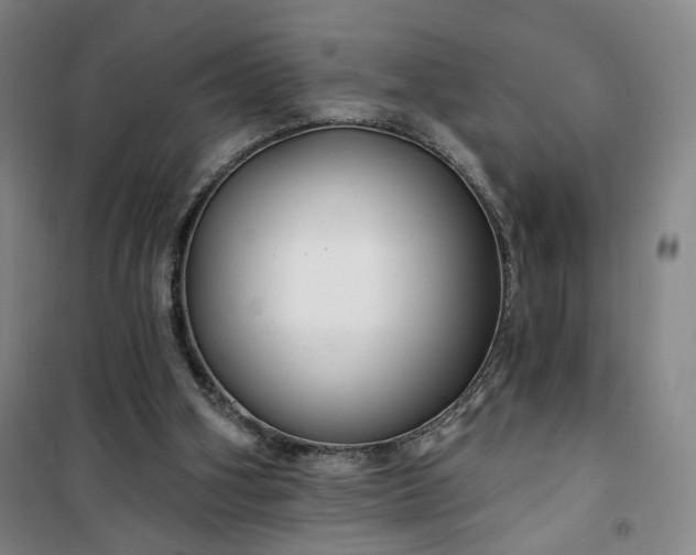 X0000101140106200807110952