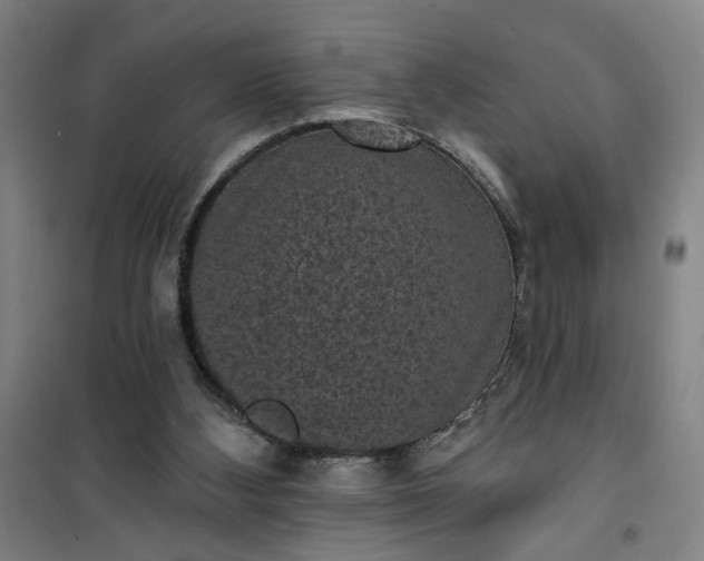 X0000101140108200807110952