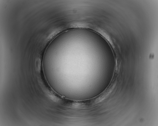 X0000101140109200807110952