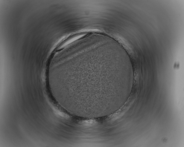 X0000101140112200807110952