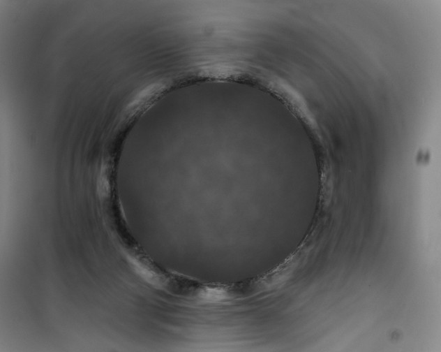 X0000101140114200807110952