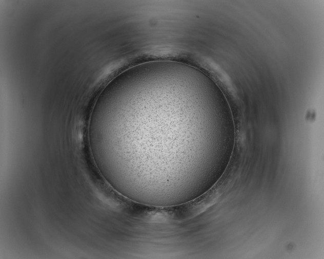 X0000101140115200807110952