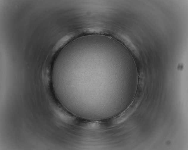 X0000101140116200807110952