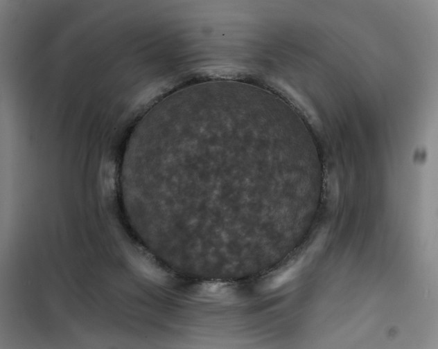 X0000101140117200807110952