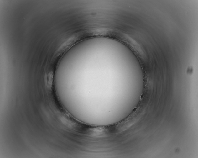 X0000101140118200807110951