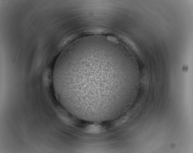 X0000101140119200807110951