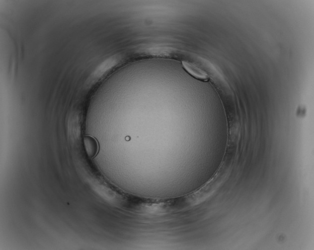 X0000101140120200807110951