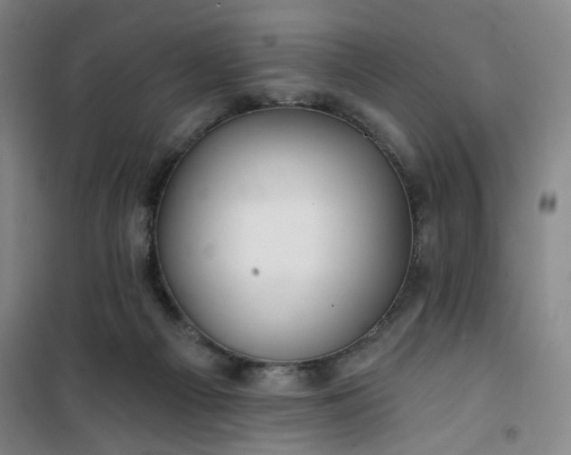 X0000101140121200807110951