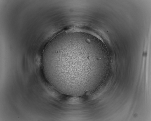 X0000101140123200807110951