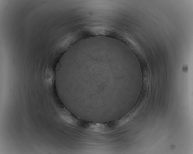 X0000101140125200807110951