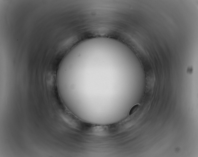 X0000101140126200807110951