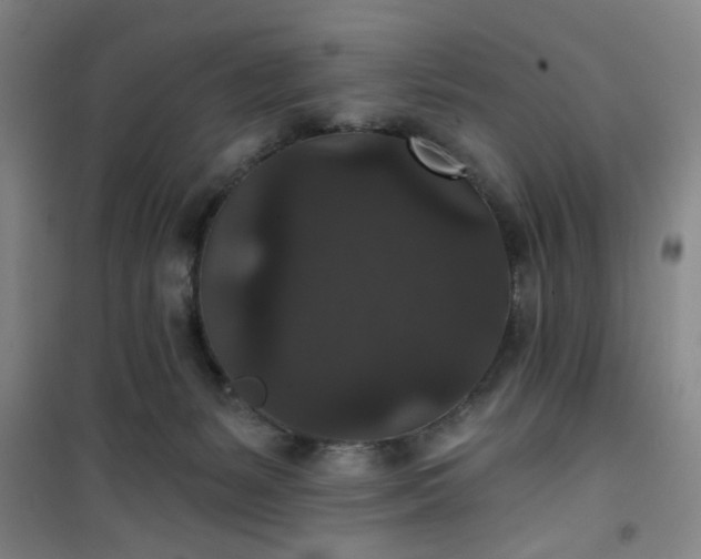 X0000101140127200807110951