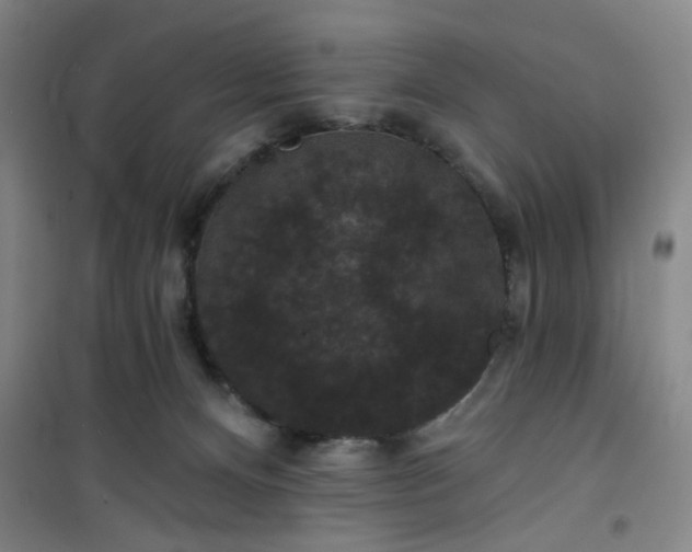 X0000101140128200807110951