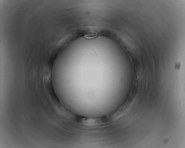 X0000101140129200807110951