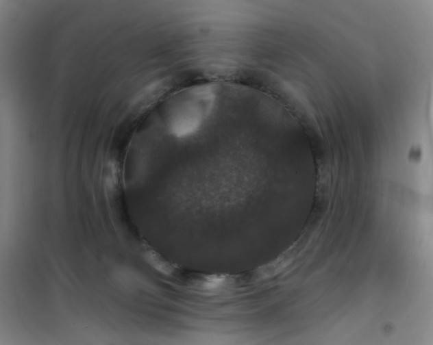 X0000101140130200807110951