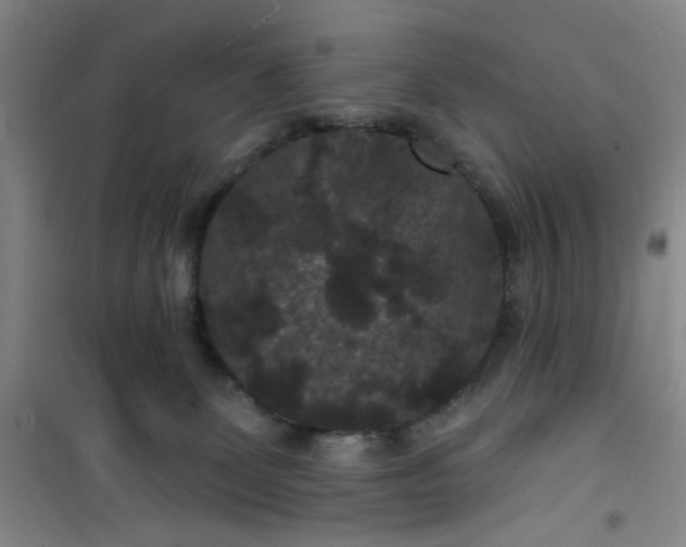 X0000101140131200807110951