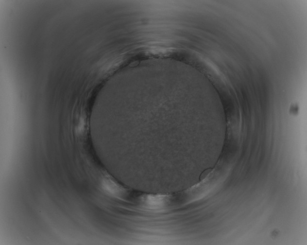 X0000101140134200807110951