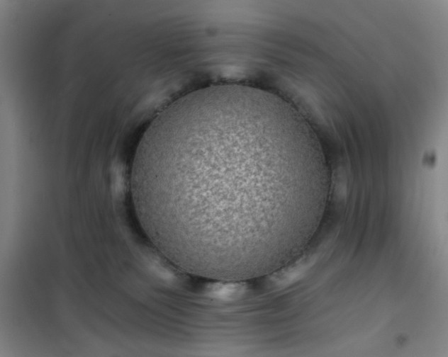 X0000101140135200807110951