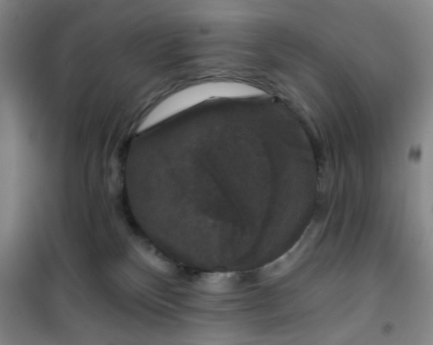 X0000101140136200807110951