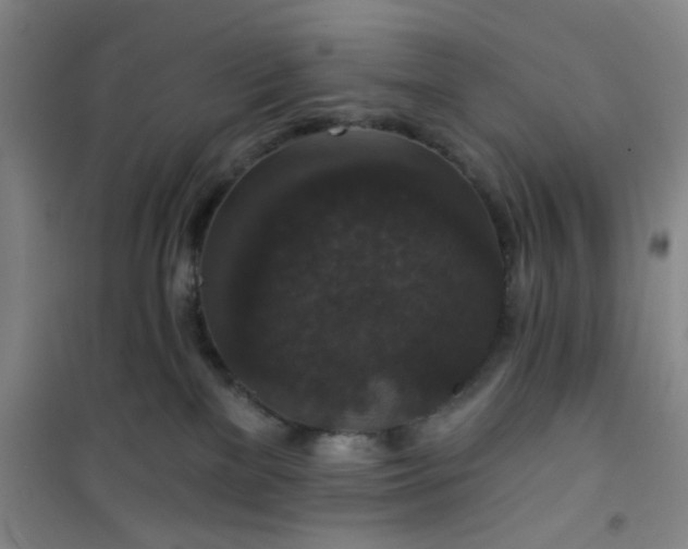 X0000101140137200807110951