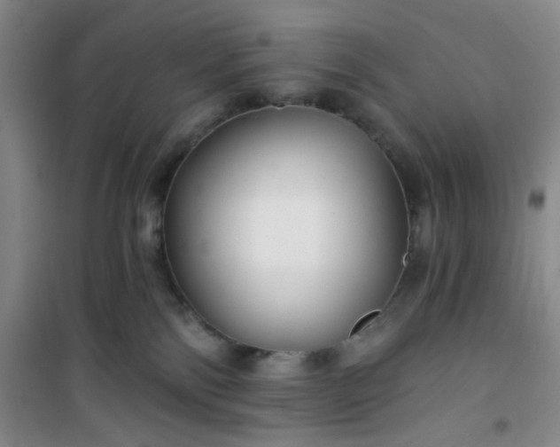 X0000101140138200807110951