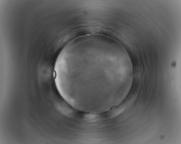 X0000101140139200807110951