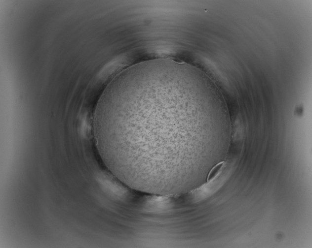 X0000101140140200807110951