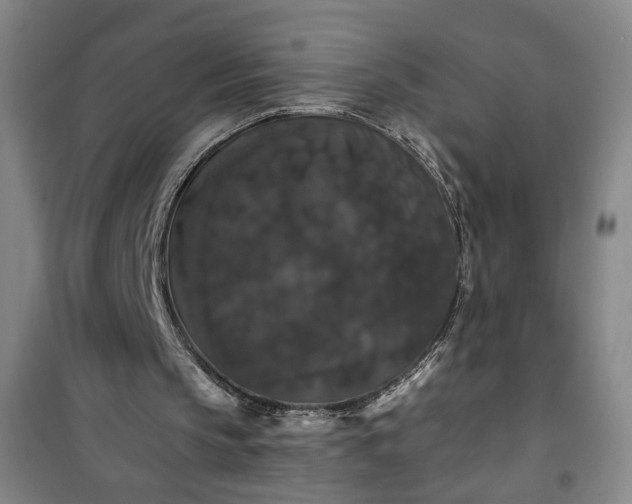 X0000101140145200807110950