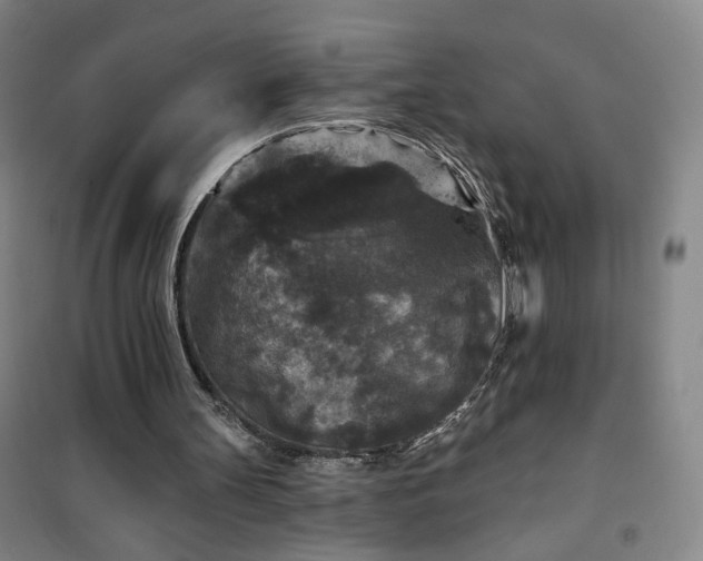 X0000101140147200807110950