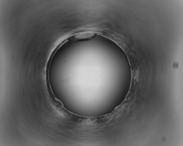 X0000101140148200807110950