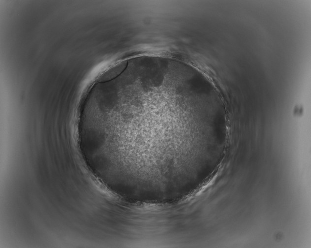 X0000101140149200807110950