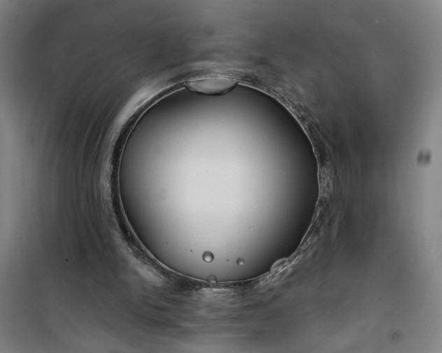 X0000101140150200807110950