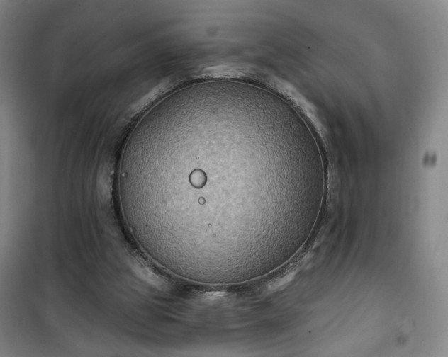 X0000101140153200807110950