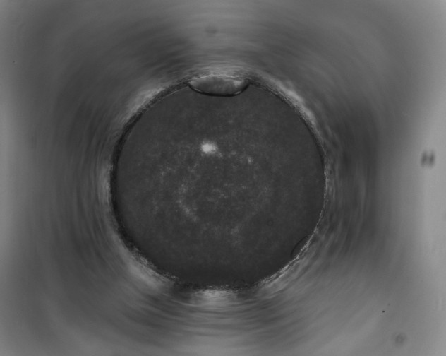 X0000101140154200807110950