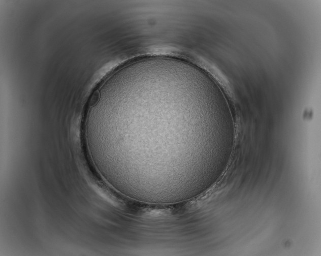 X0000101140155200807110950